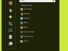 mint-12-no-print-search