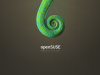 opensuse_wallpaper_by_anditosan-d490dh7