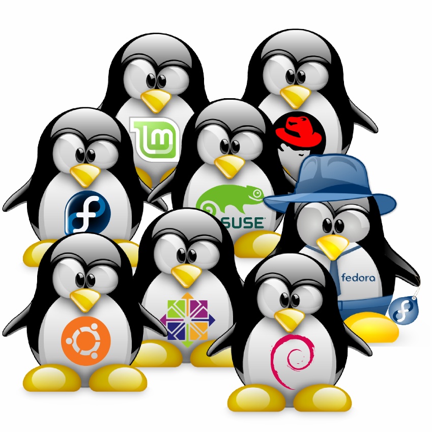 2012 linux distributions' reviews